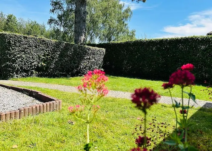 Des Faisans * Hastière-par-delà